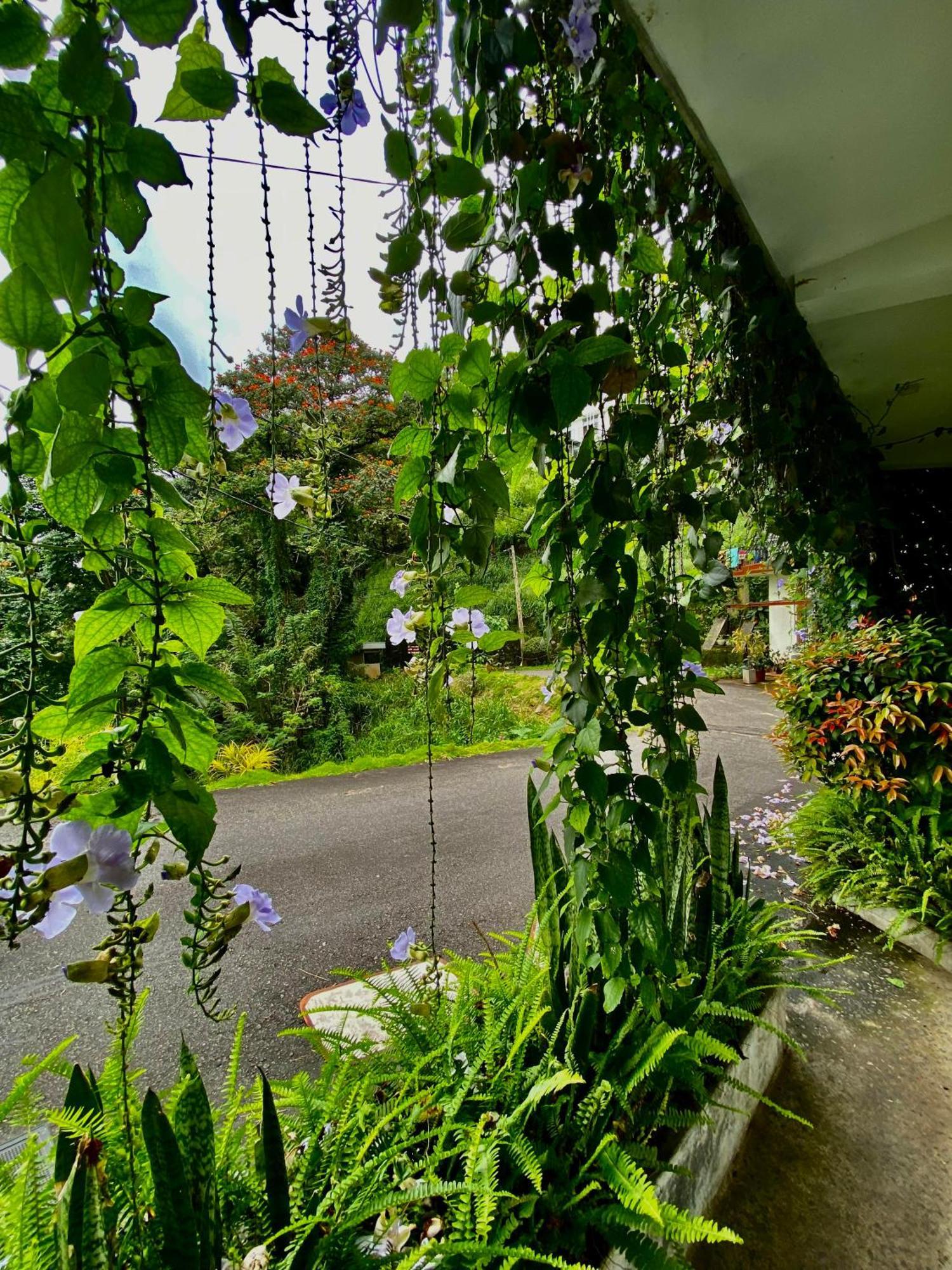 Sesatha Lake Kandy Dış mekan fotoğraf
